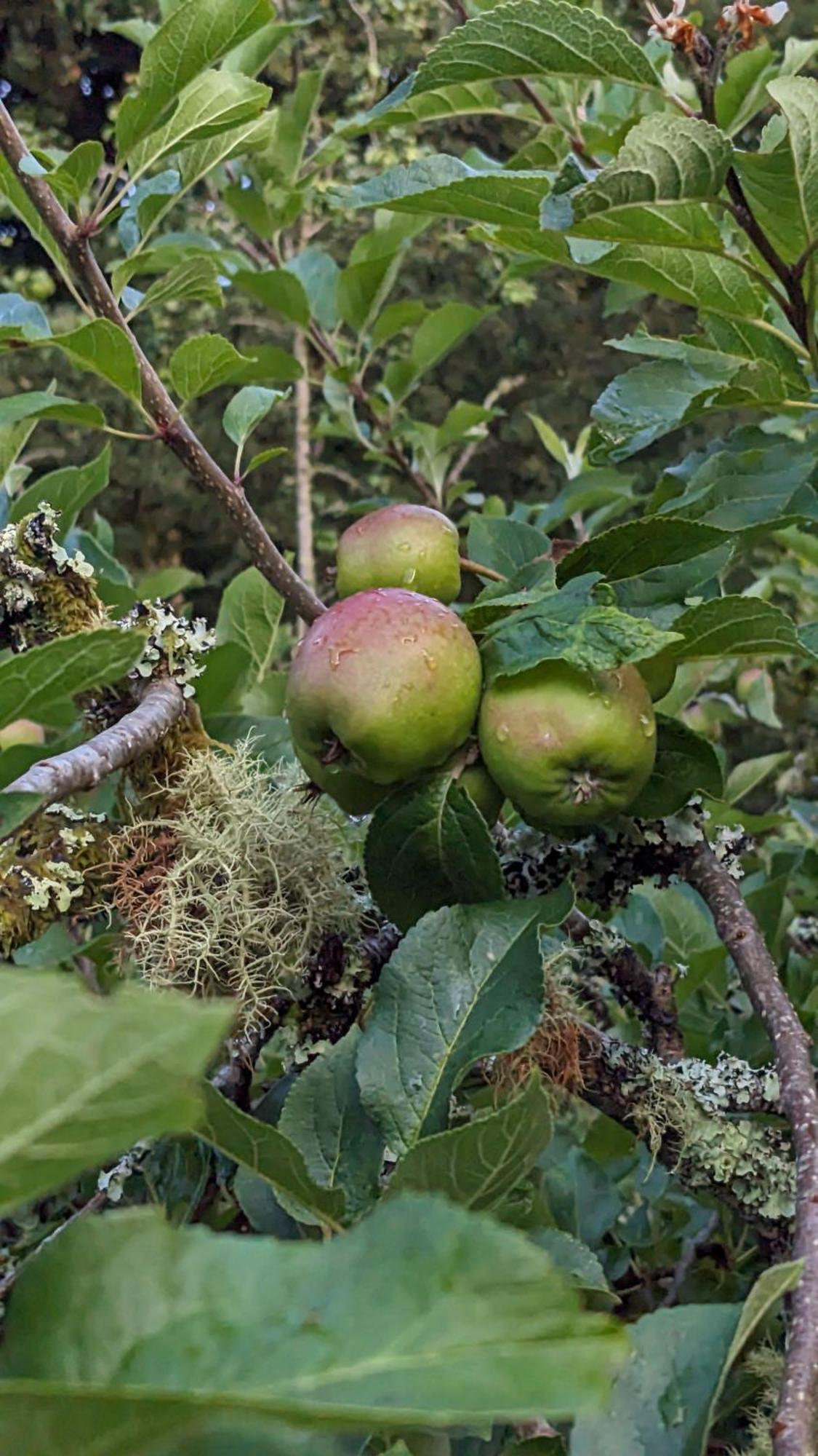הוילה קונסטנטין The Applehay מראה חיצוני תמונה